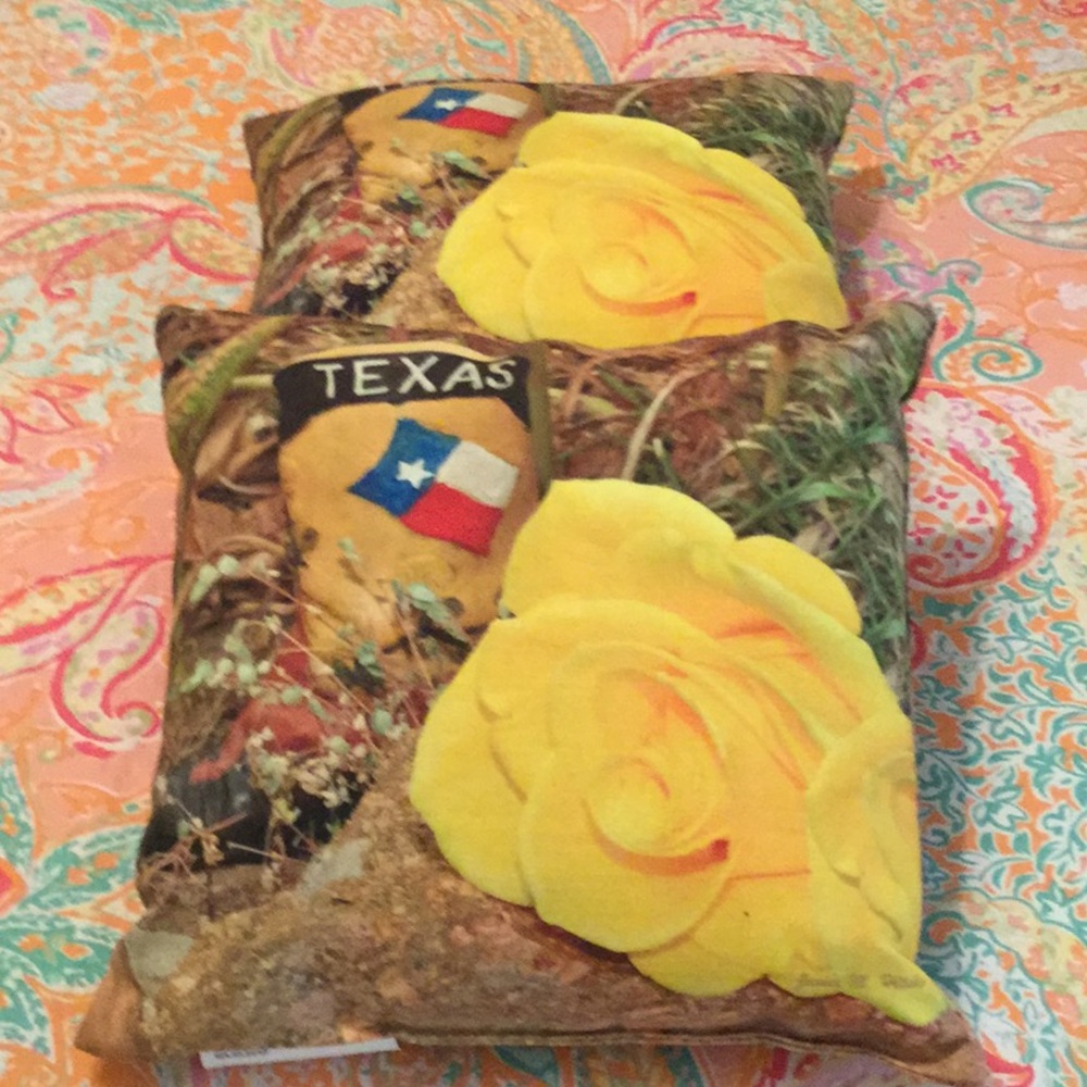 2 sided, small Texas pillows